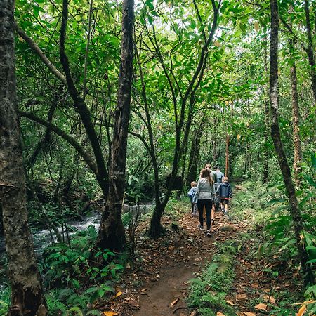 El Silencio Lodge & Spa Costa Rica Toro Amarillo エクステリア 写真